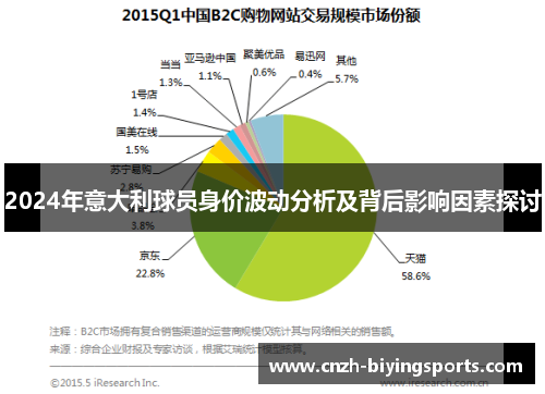 2024年意大利球员身价波动分析及背后影响因素探讨